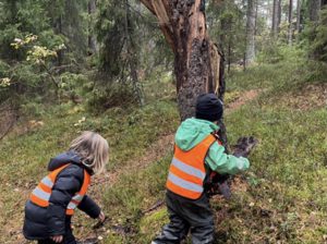 Förskolebarn i skogen