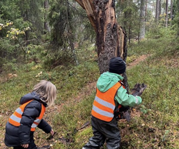Förskolebarn i skogen